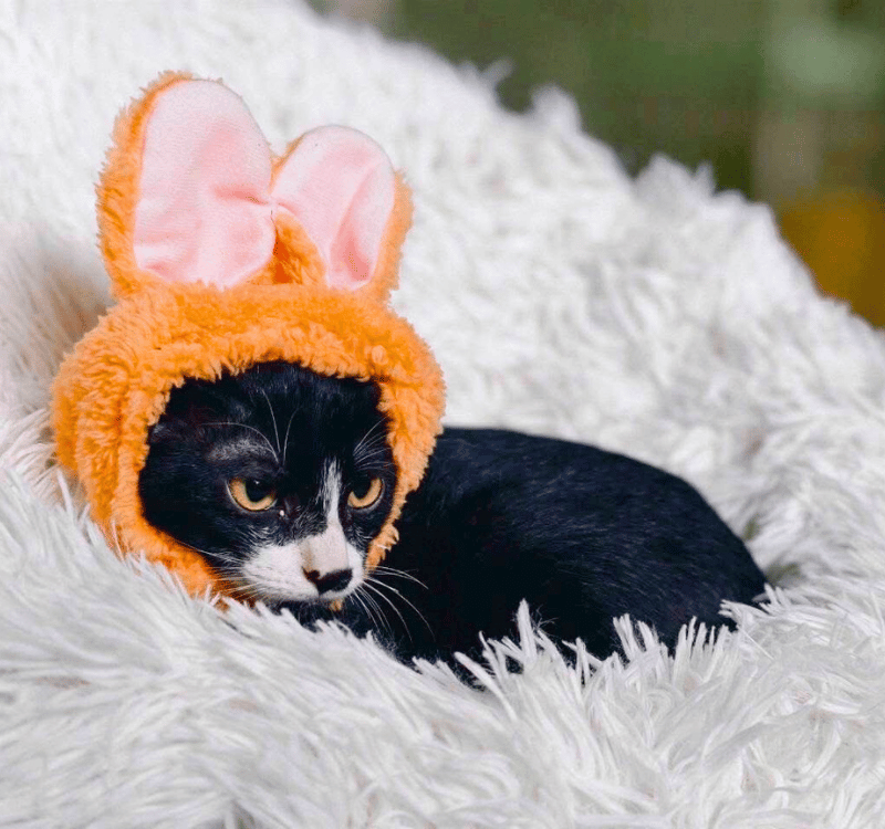 🖤 Soul — The Strong Boy (Born in Jul 2025) 🖤 Soul — The Strong Boy (Born in Jul 2025)