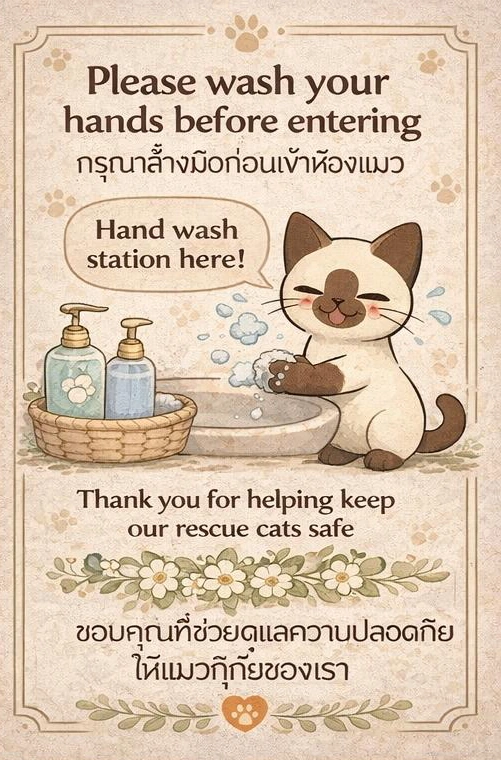 wash hands