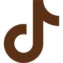 TikTok icon